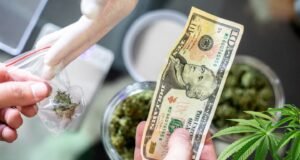 Proponen prohibir consumo y venta de cannabis medicinal en presencia de menores