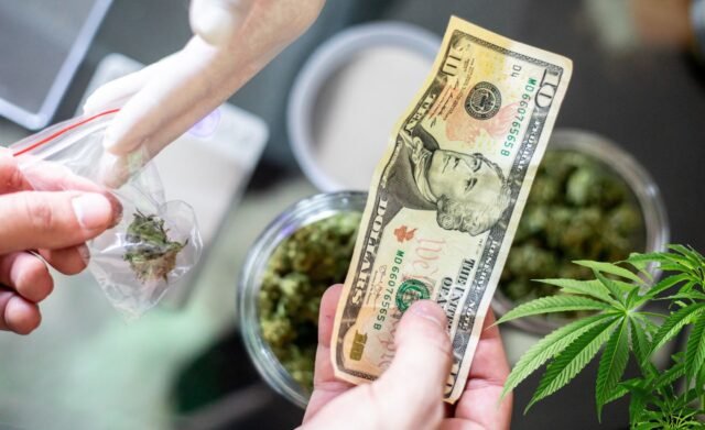 cannabis