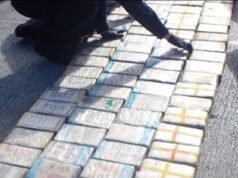 Guardia Costera incauta casi 500 libras de cocaína al norte de Puerto Rico