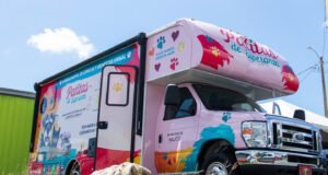 Yauco inaugura clínica veterinaria rodante para animales abandonados